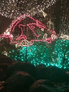 Hog Christmas Lights
