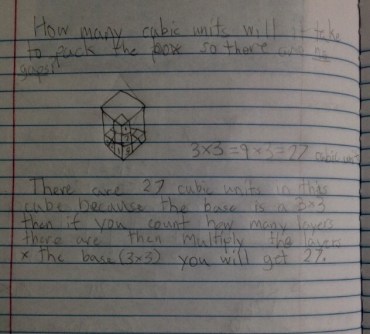 kritter-determines-the-volume-of-a-cube